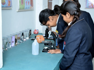 School Laboratories