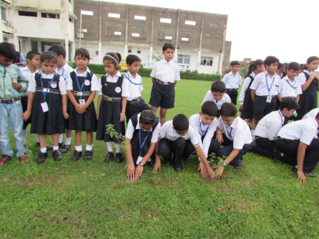 Scholarship Award For Excellence