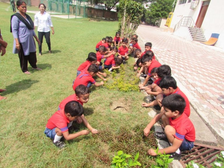 Grandparents Day Celebration 2018