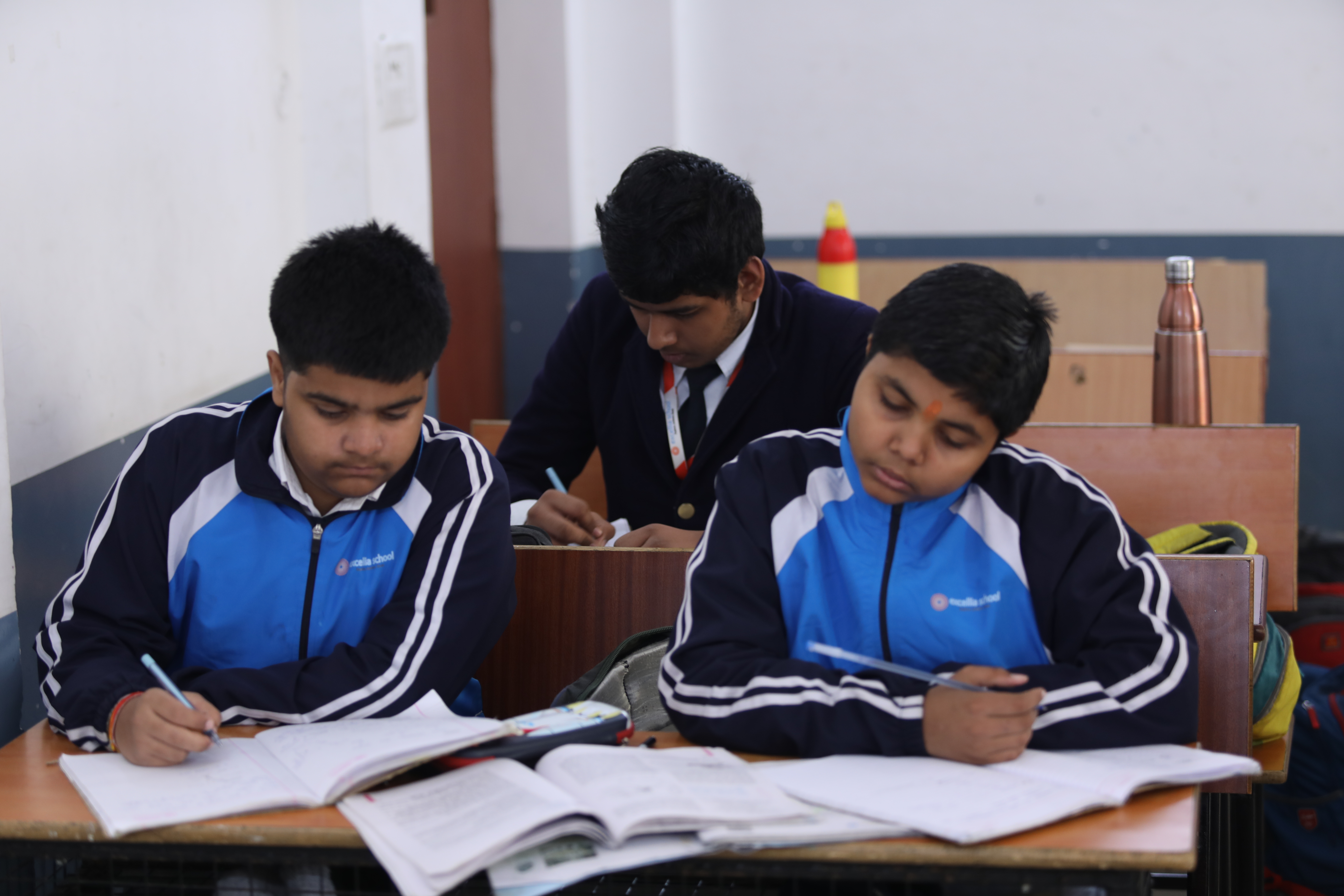 Excellia School