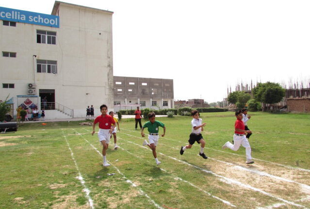 Excellia School As Second Home