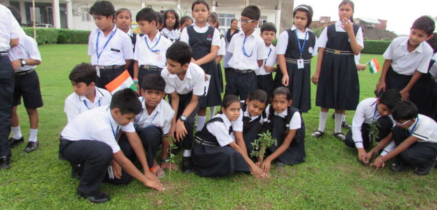 Plantation Drive by students