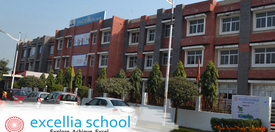 excellia-school