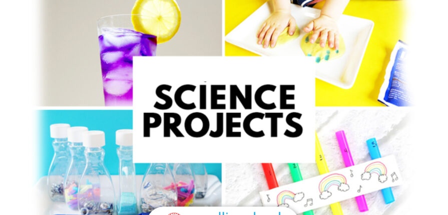 Science Activity Conducted For Class V