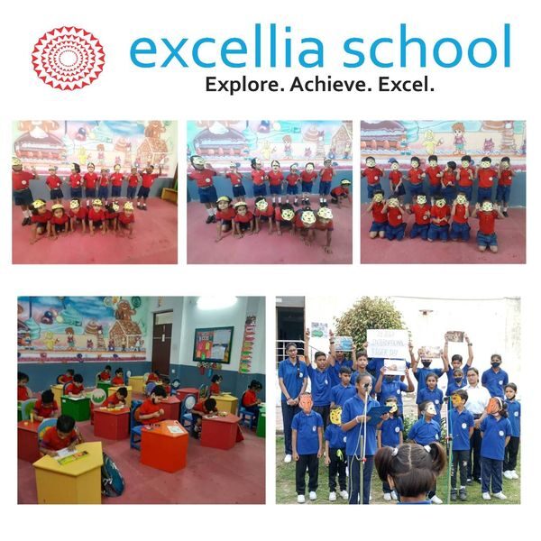 Excellia School
