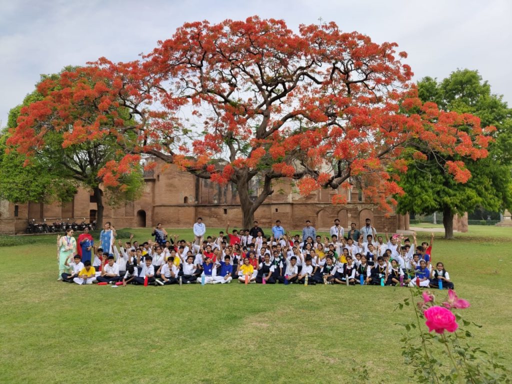Excellia School