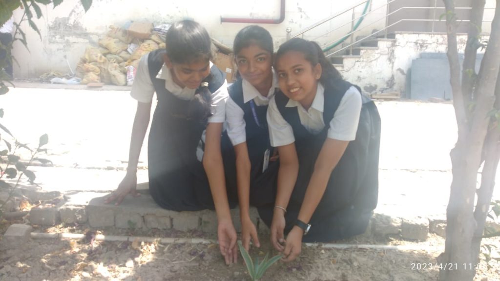 Excellia School