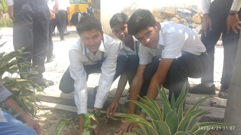 Excellia School