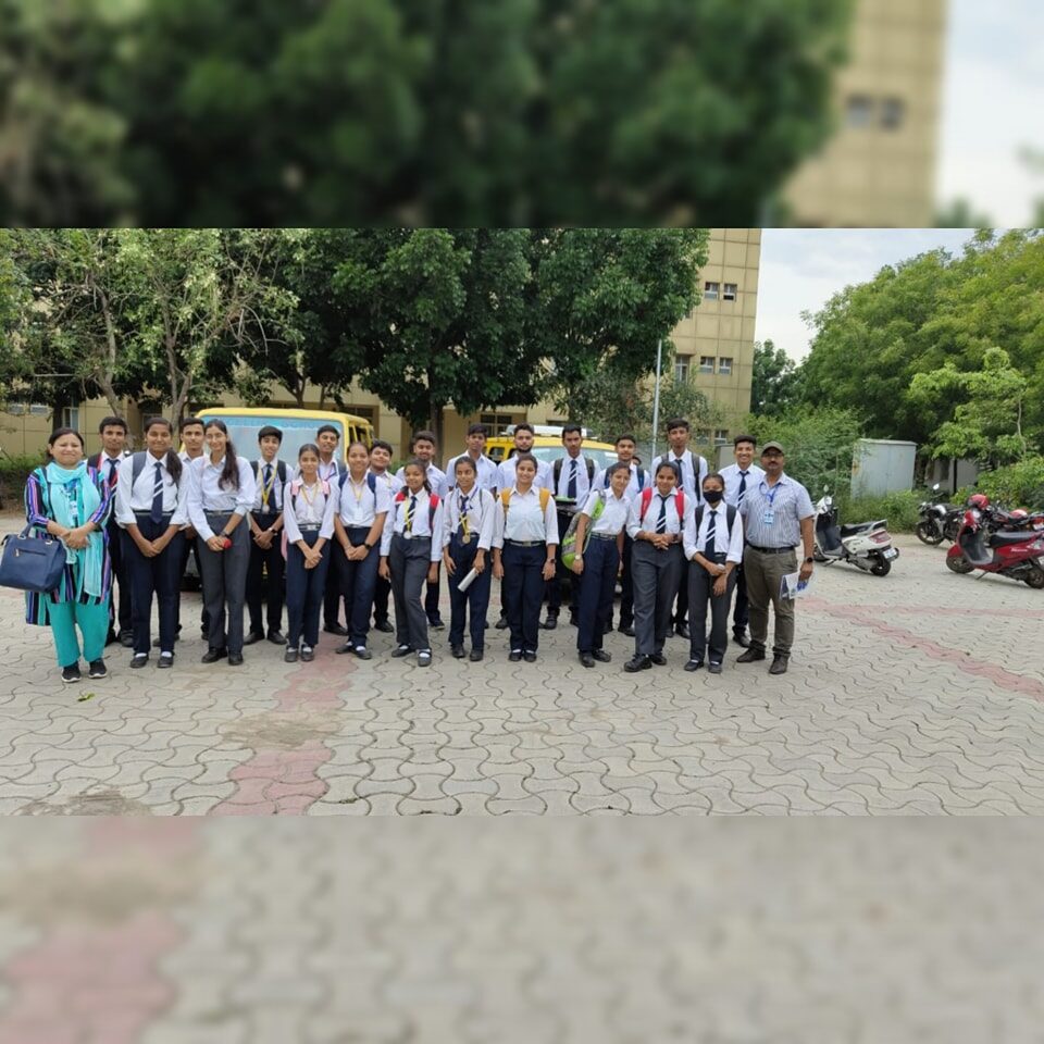 Excellia School