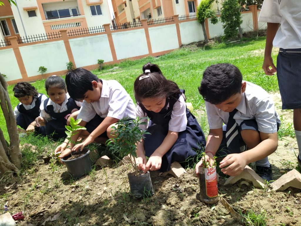 Excellia School