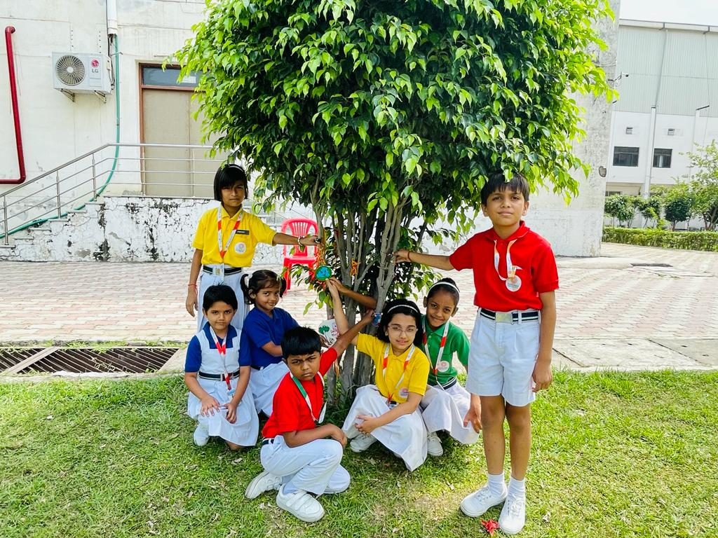 Excellia School