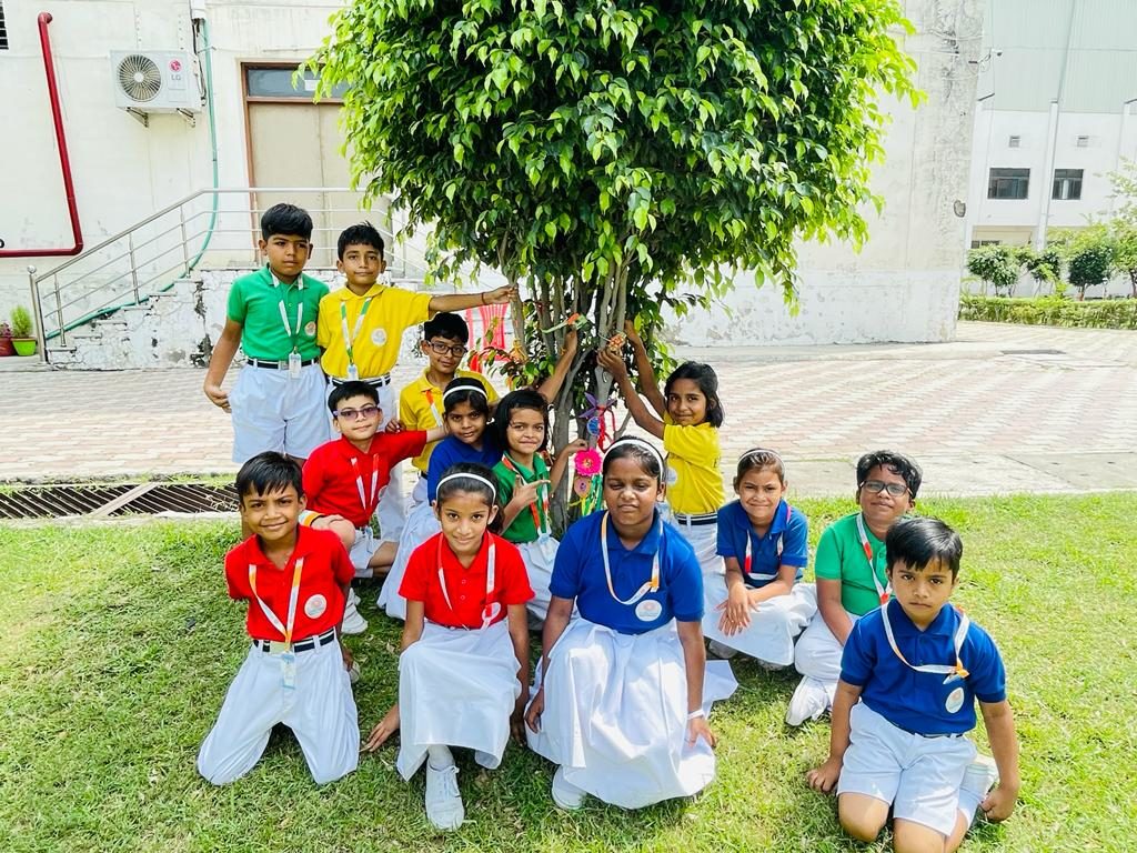 Excellia School