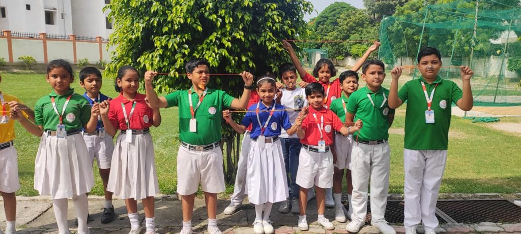 Excellia School