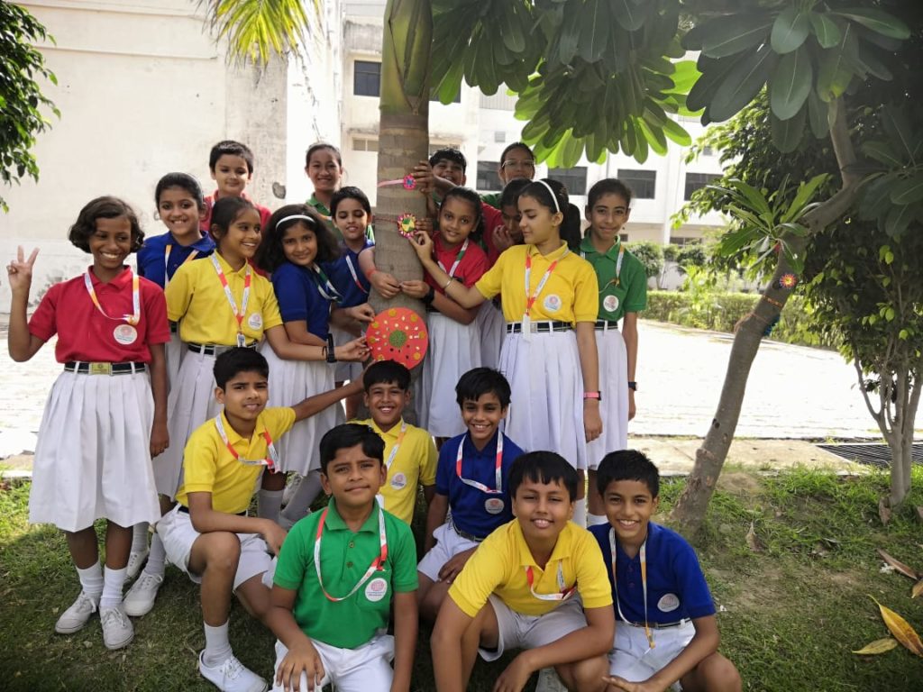 Excellia School