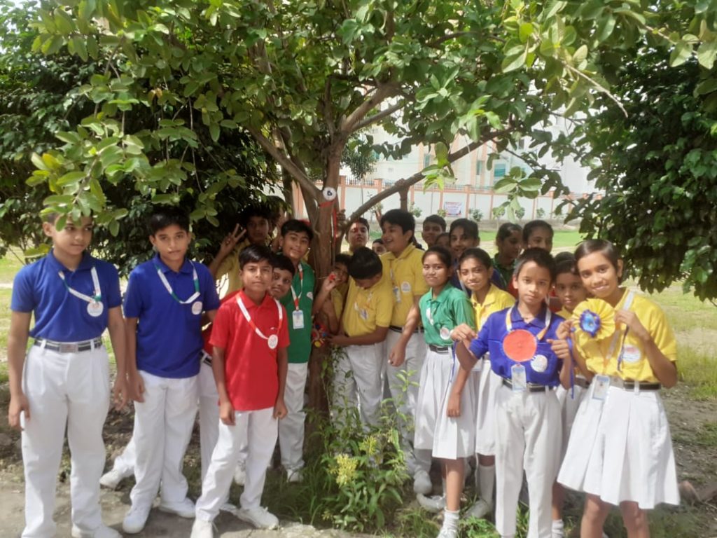 Excellia School