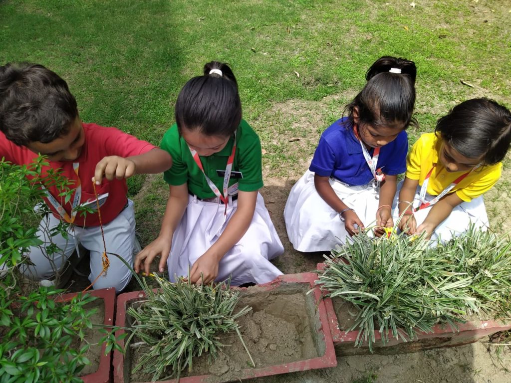 Excellia School