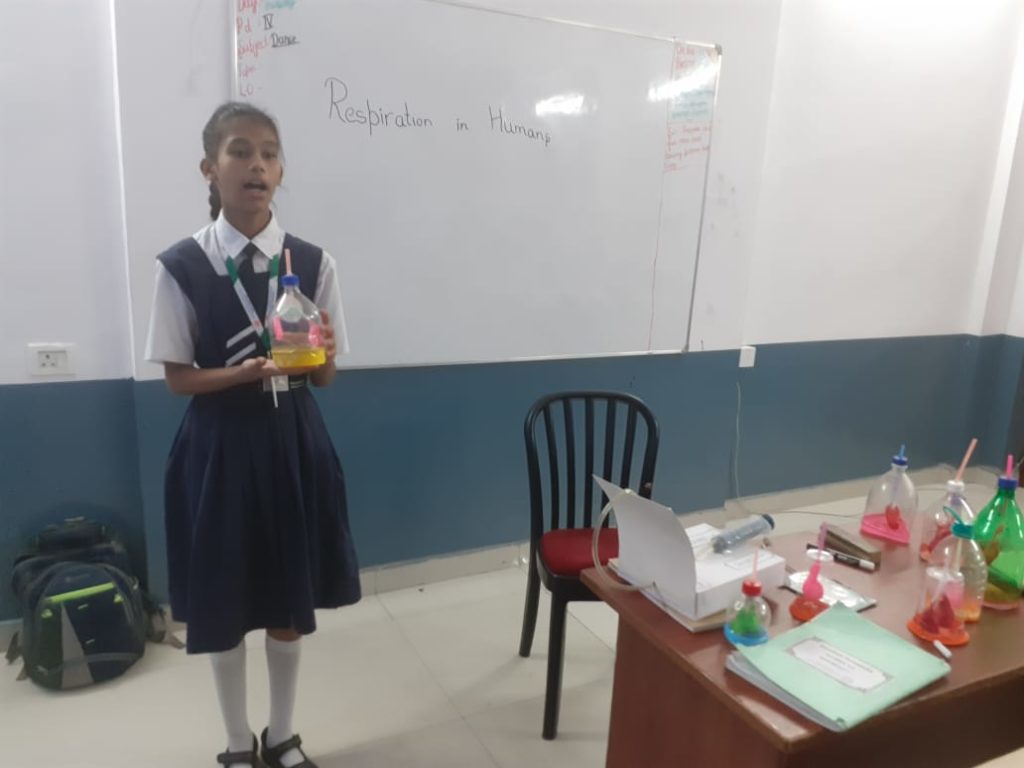Excellia School
