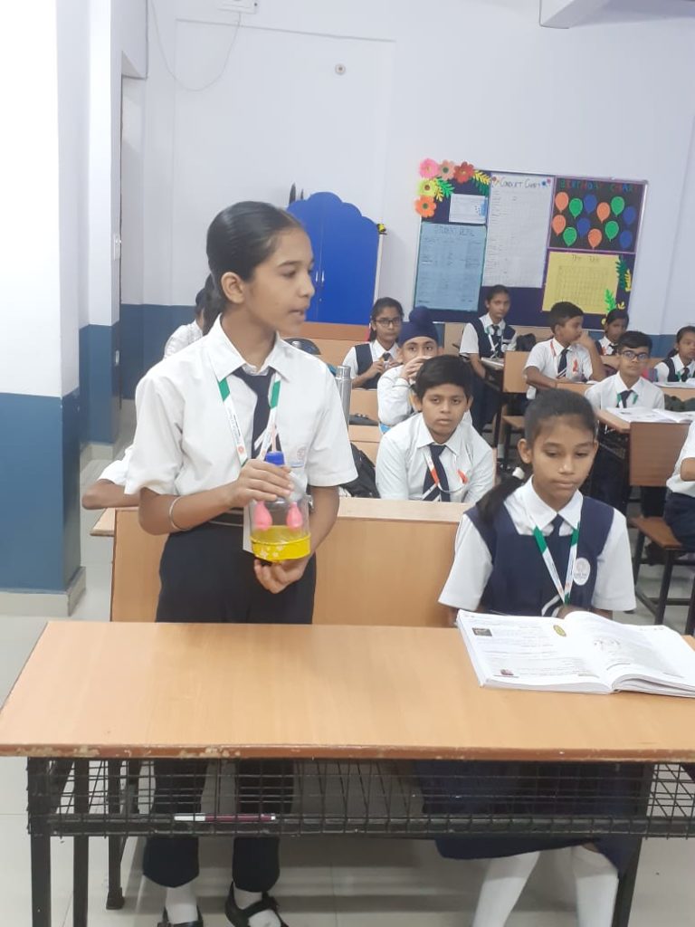 Excellia School