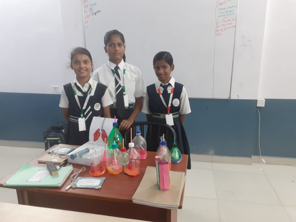 Excellia School