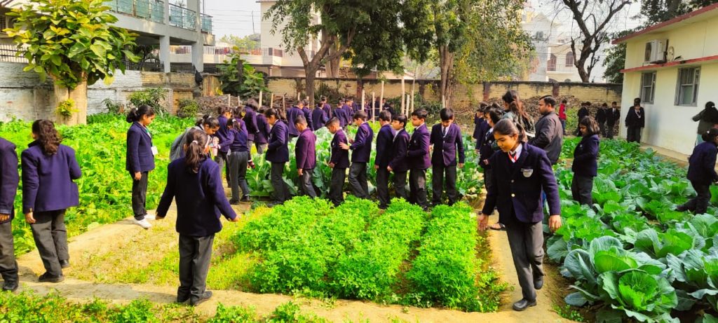 Excellia School