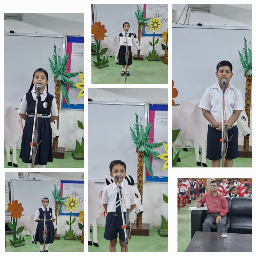 Excellia School