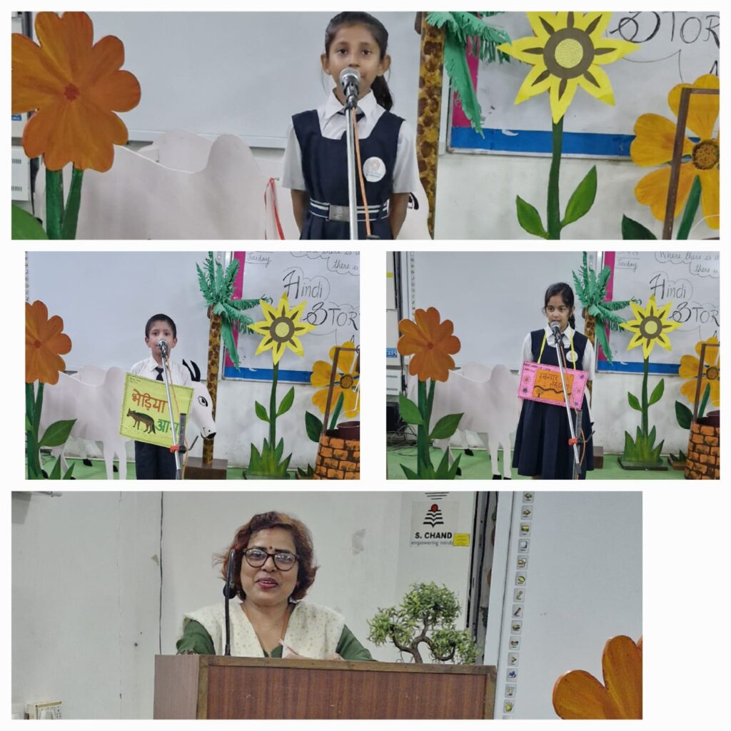 Excellia School
