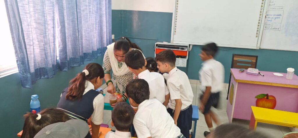 Excellia School