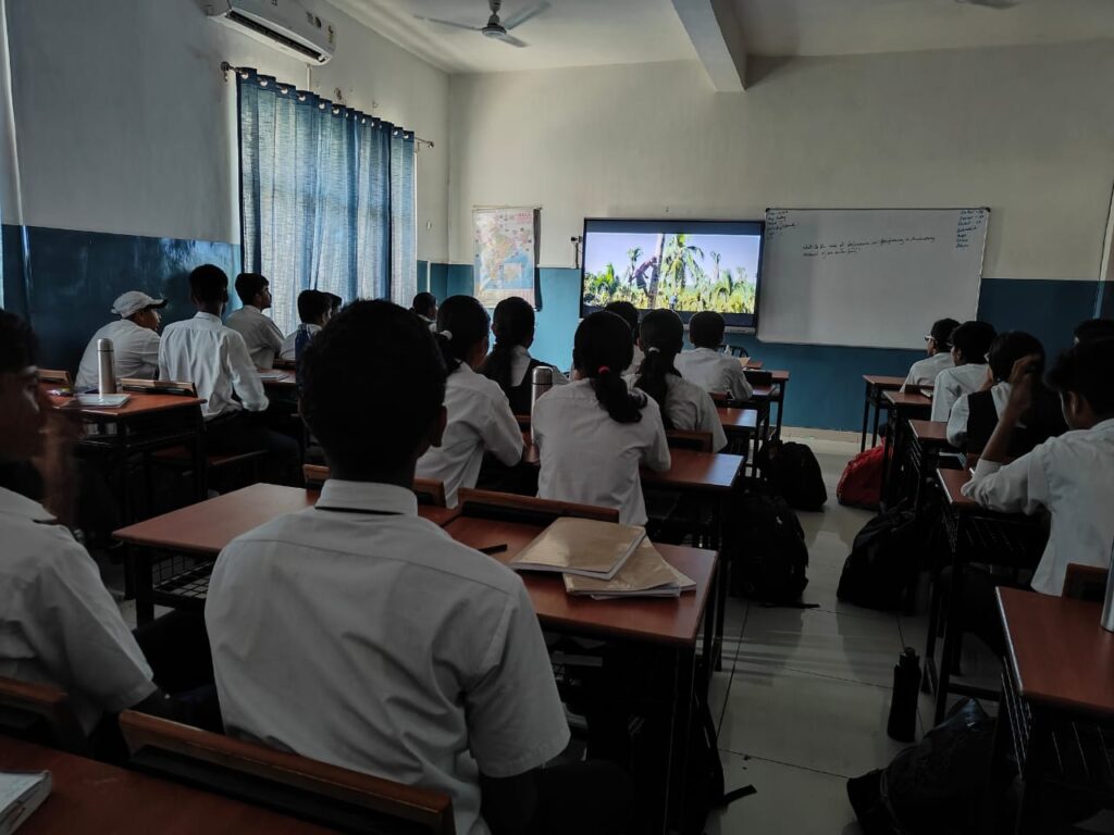 Excellia School