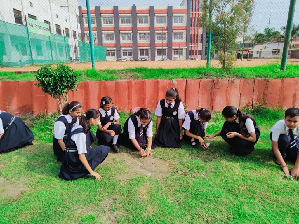 Excellia School