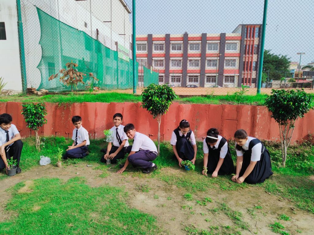 Excellia School