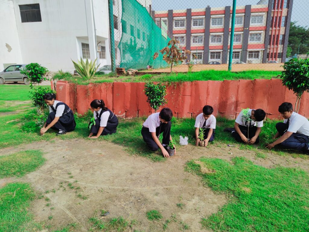 Excellia School
