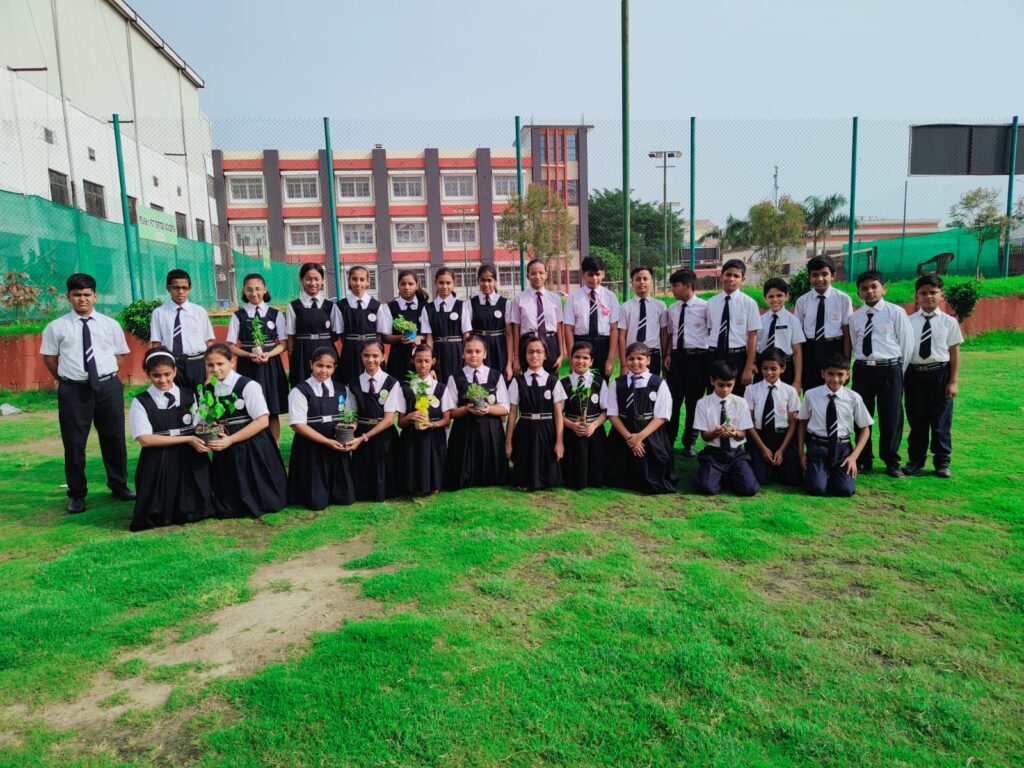 Excellia School
