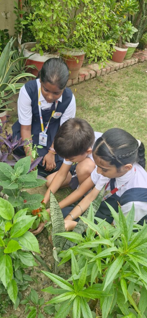 Excellia School