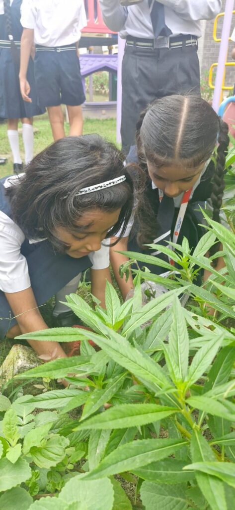 Excellia School