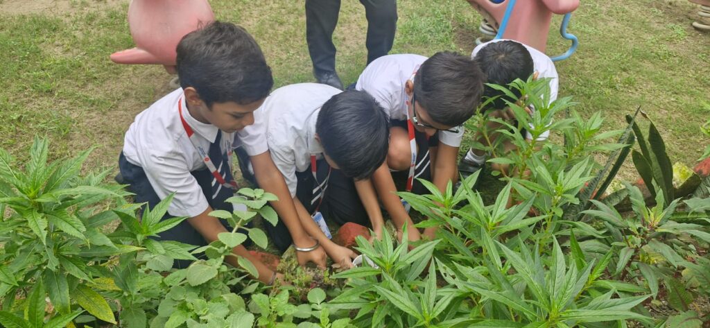 Excellia School