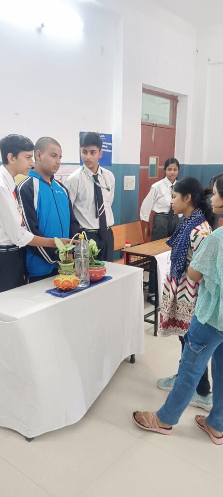 Excellia School