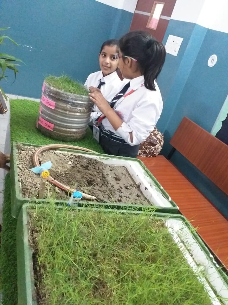 Excellia School