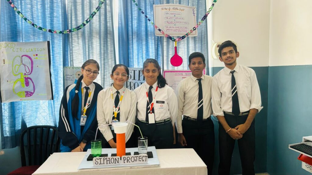 Excellia School