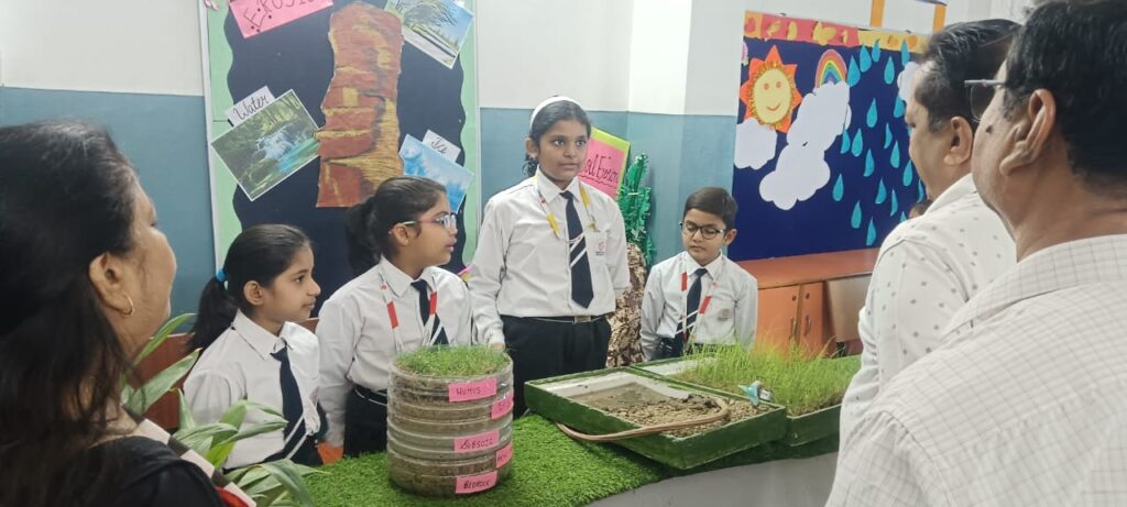 Excellia School