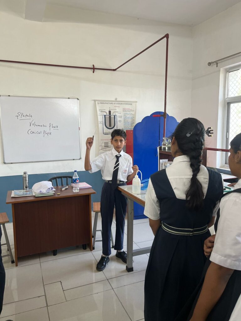 Excellia School
