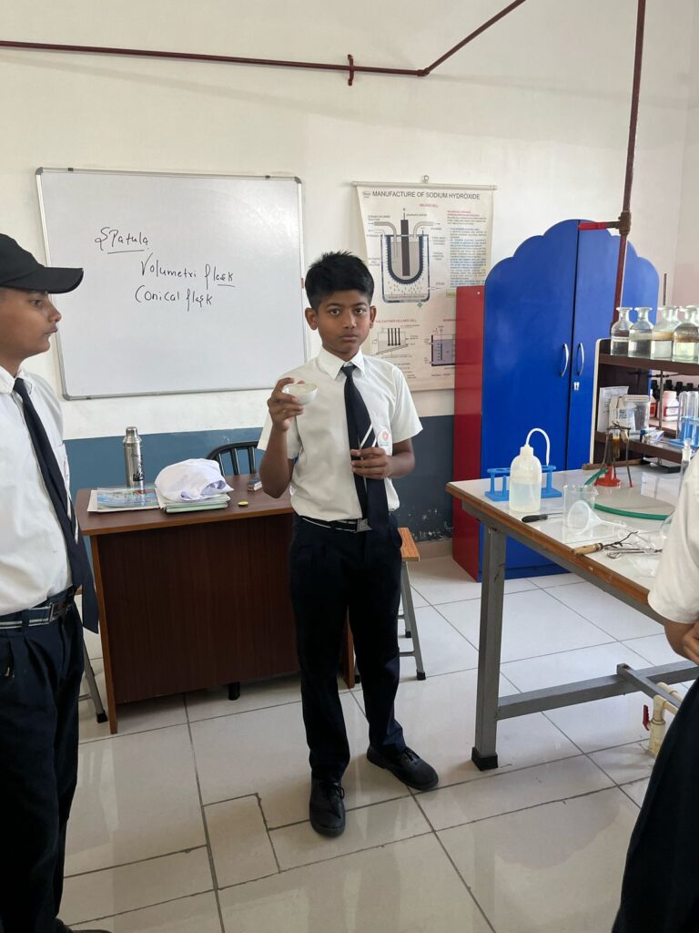 Excellia School