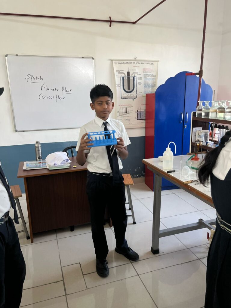 Excellia School