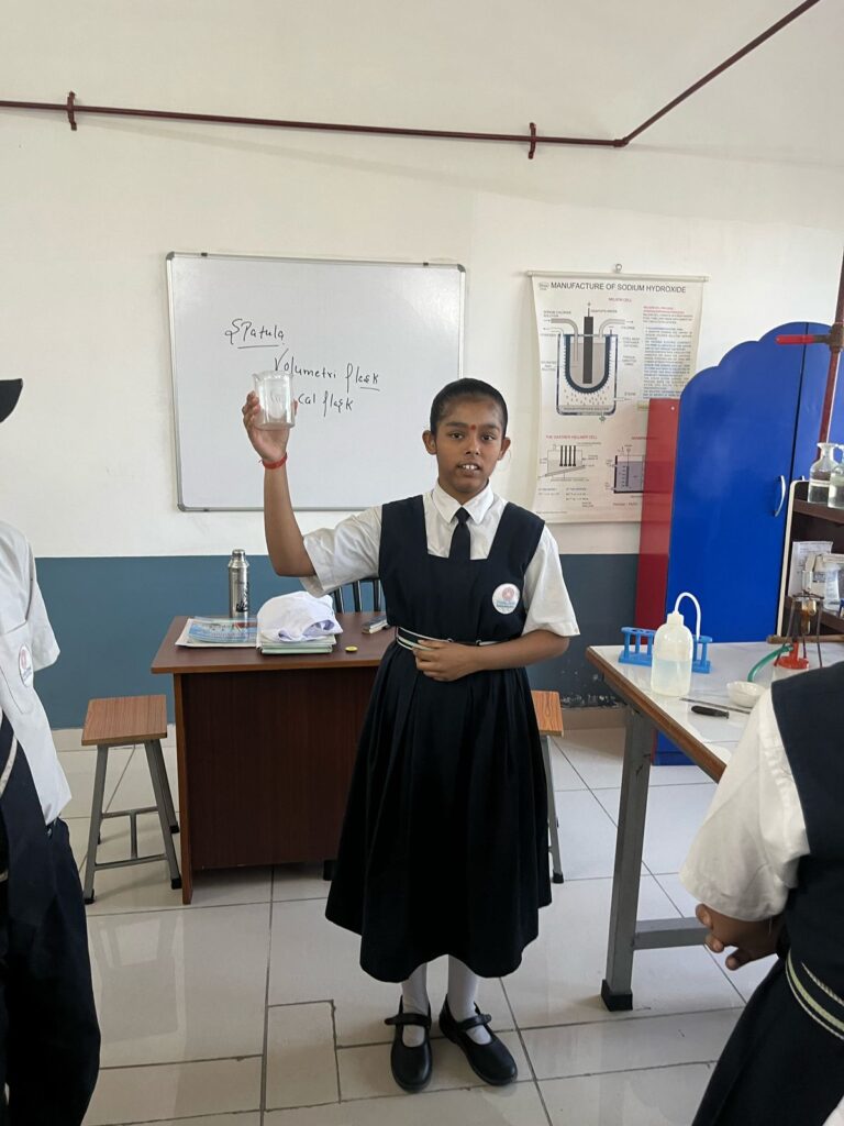 Excellia School