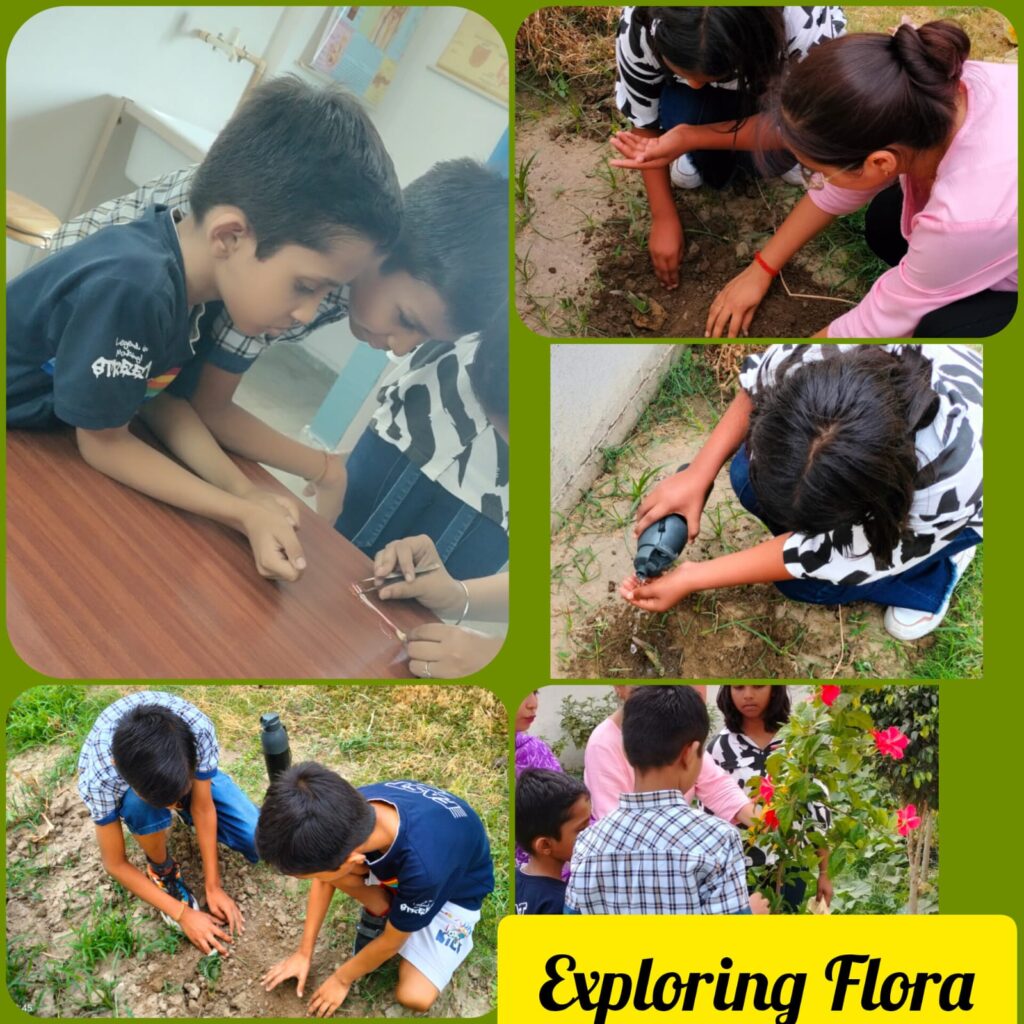 Excellia School