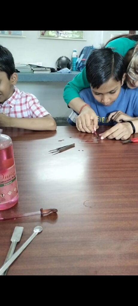 Excellia School