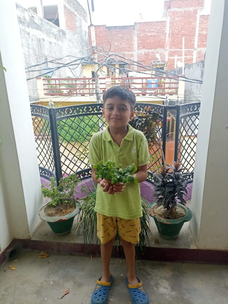 Excellia School
