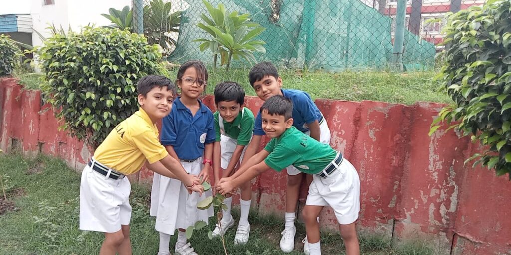 Excellia School