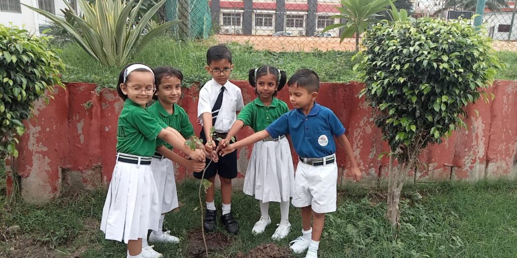 Excellia School
