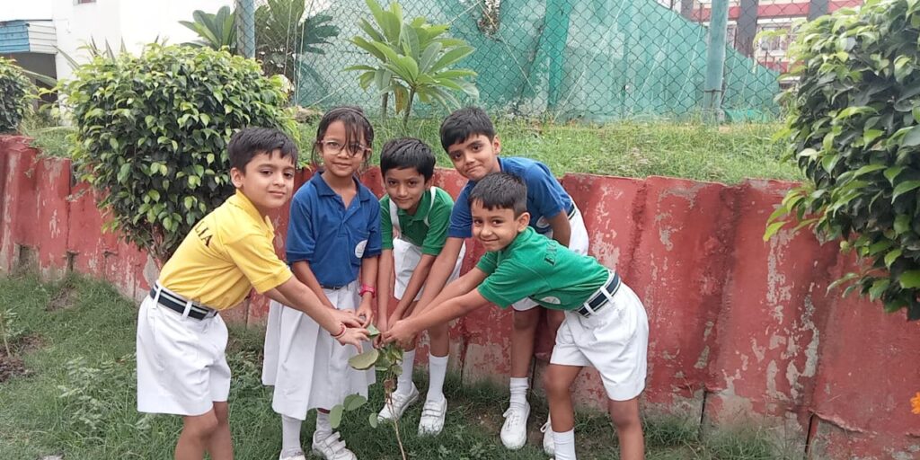 Excellia School