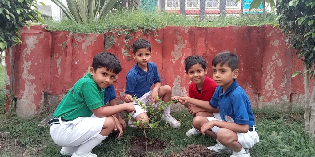 Excellia School